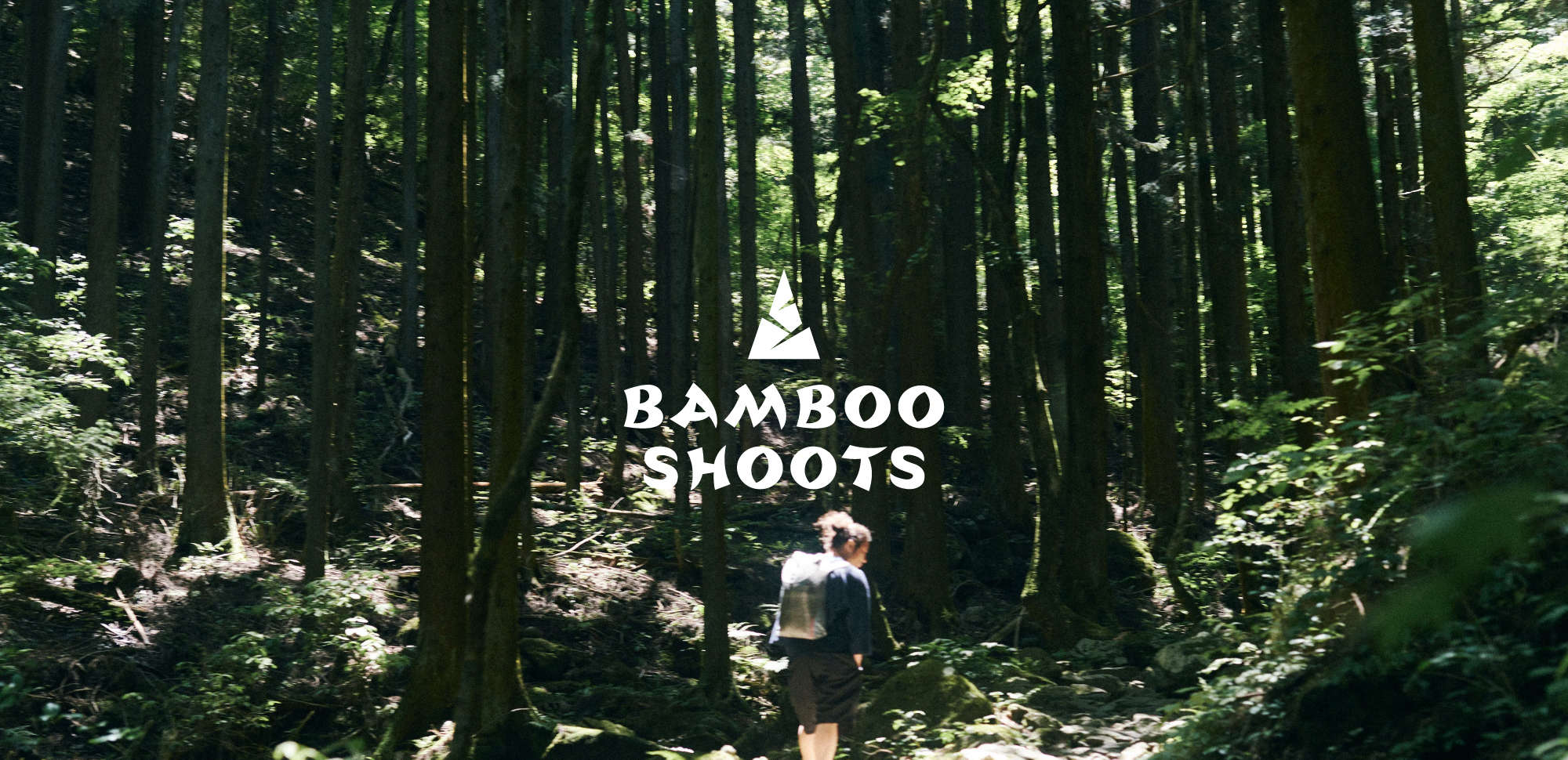 BAMBOO SHOOTS