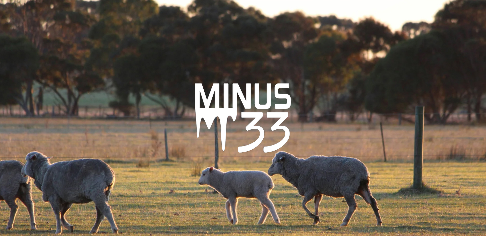 MINUS33